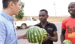 今日黑料 体育圈的瓜是什么意思,娱乐圈的瓜，体育圈也有